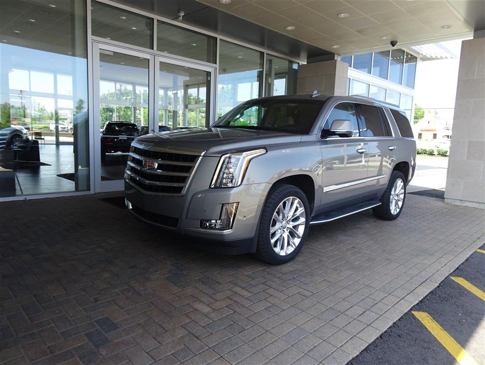 2019 Cadillac Escalade for sale in Cincinnati, Ohio