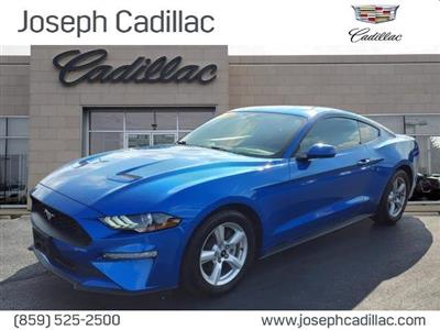 2019 Ford Mustang lease in Cincinnati,OH - Swapalease.com