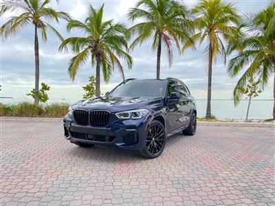 2022 BMW X5 lease in Miami,FL - Swapalease.com