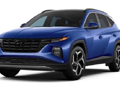 2022 Hyundai Tucson lease in Farmington,MN - Swapalease.com