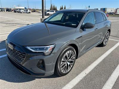 2024 Audi Q8 e-tron lease in Fort Wayne,IN - Swapalease.com