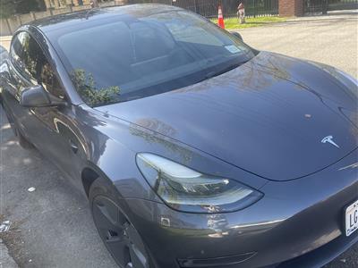 2024 Tesla Model 3 lease in Pelham Manor,NY - Swapalease.com