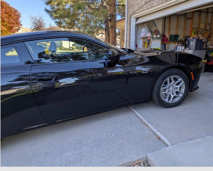 2025 Dodge Charger for sale in Highlands Ranch, Colorado
