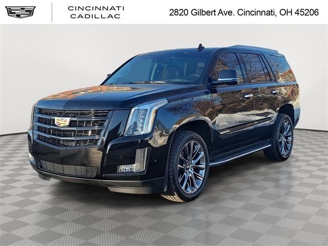 2020 Cadillac Escalade for sale in Cincinnati, Ohio