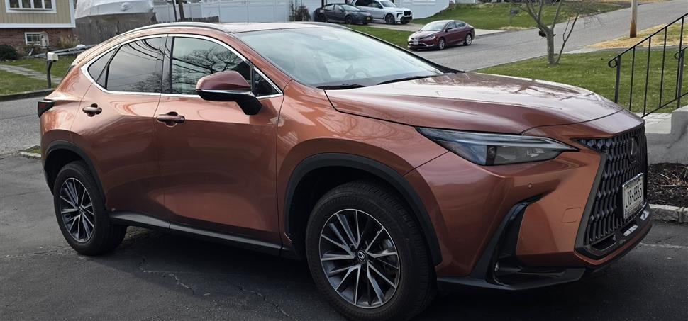 2025 Lexus NX for sale in Lake Ronkonkoma, New York