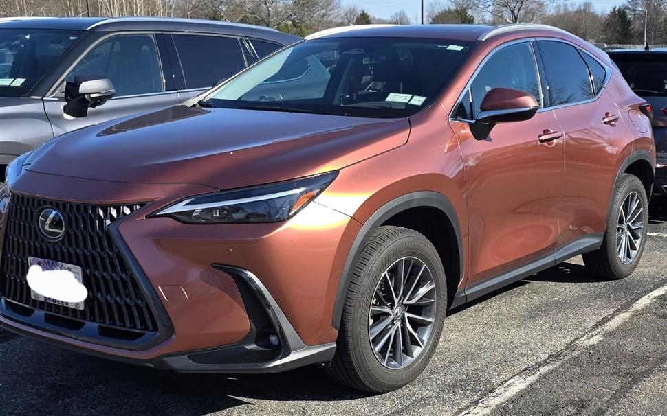 2025 Lexus NX for sale in Lake Ronkonkoma, New York