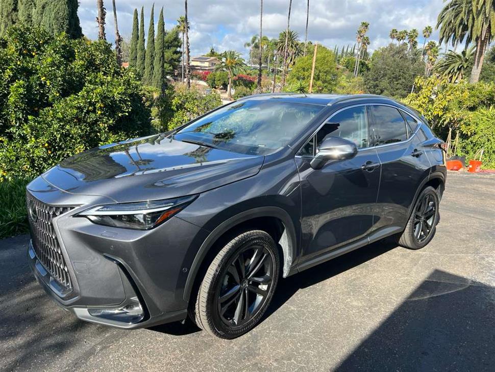 2025 Lexus NX for sale in Escondido, California