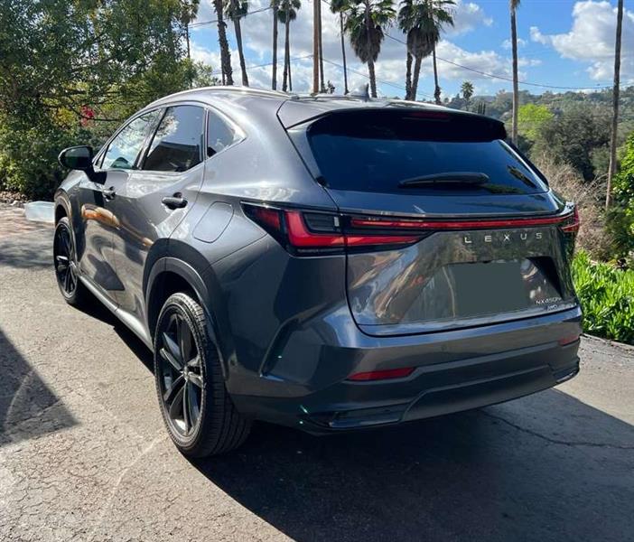 2025 Lexus NX for sale in Escondido, California