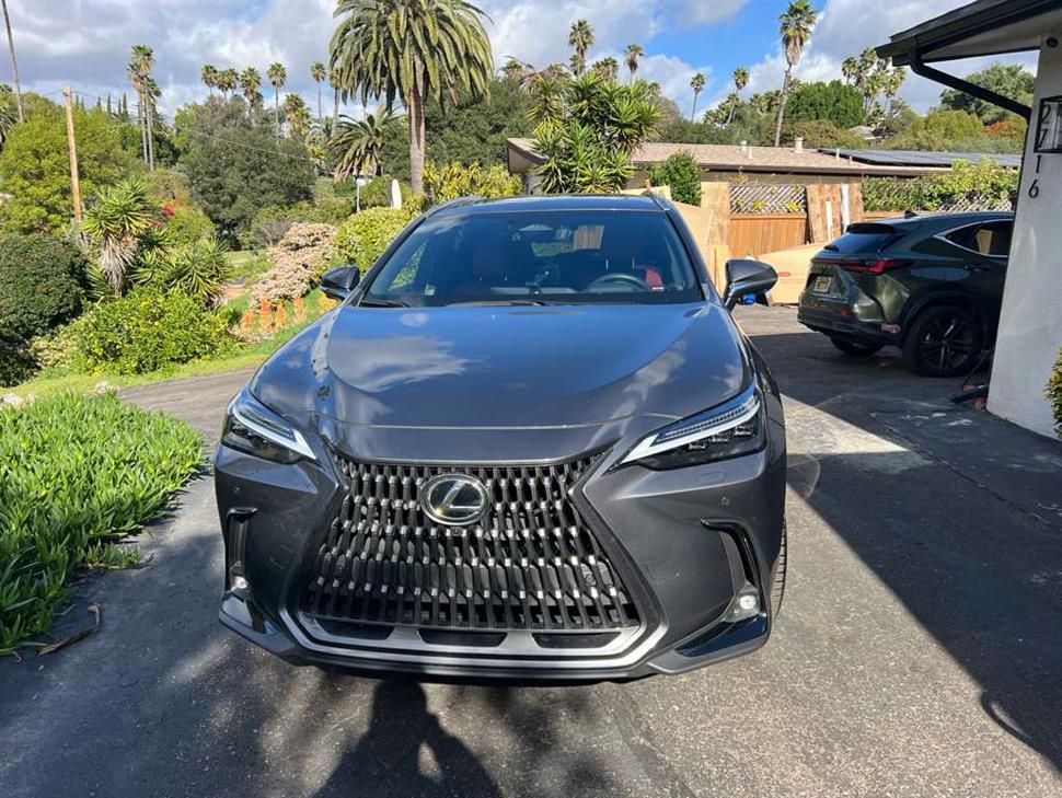 2025 Lexus NX for sale in Escondido, California