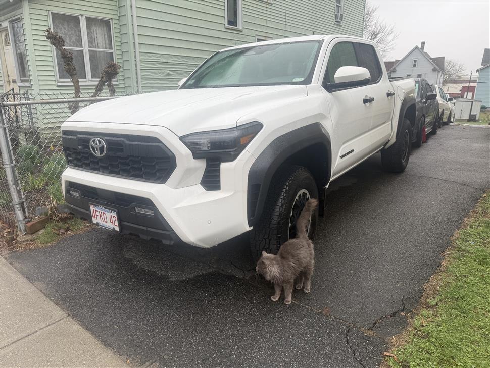 2024 Toyota Tacoma for sale in Springfield, Massachusetts
