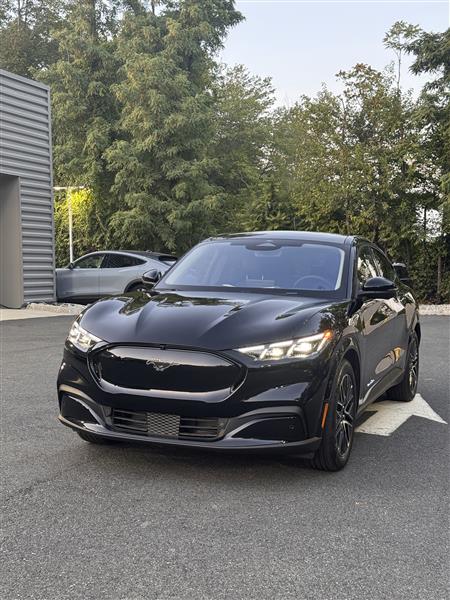 2025 Ford Mustang Mach-E for sale in Basking Ridge, New Jersey