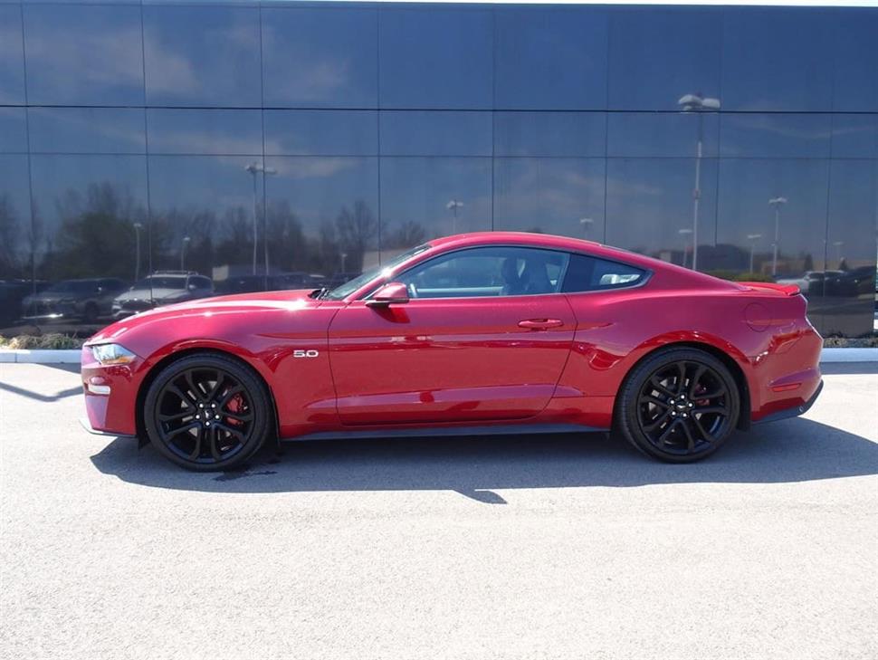 2019 Ford Mustang for sale in Cincinnati, Ohio