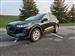 2024 Ford Escape for sale in Washington Twp, Michigan
