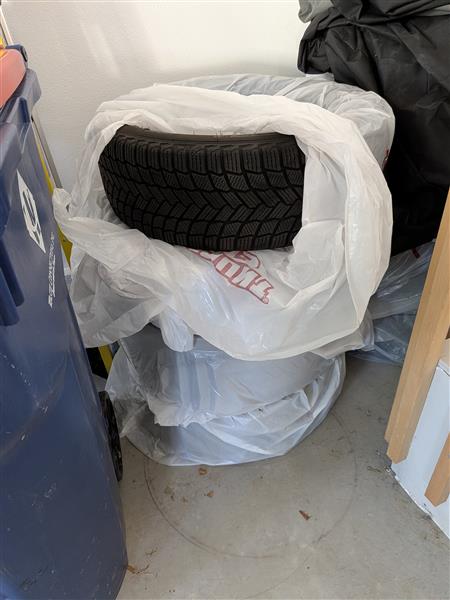 2024 Ford Mustang Mach-E for sale in Superior, Colorado