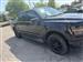 2024 Ford F-150 Hybrid for sale in Royal Oak, Michigan