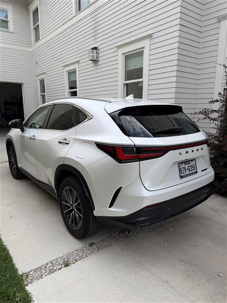 2025 Lexus NX for sale in Houston, Texas