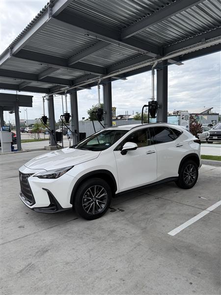 2025 Lexus NX for sale in Houston, Texas