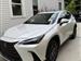 2025 Lexus NX for sale in Houston, Texas