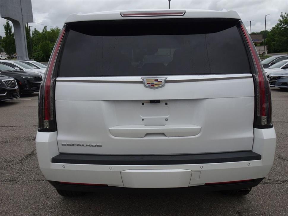 2019 Cadillac Escalade for sale in Cincinnati, Ohio