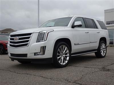 2019 Cadillac Escalade for sale in Cincinnati,OH